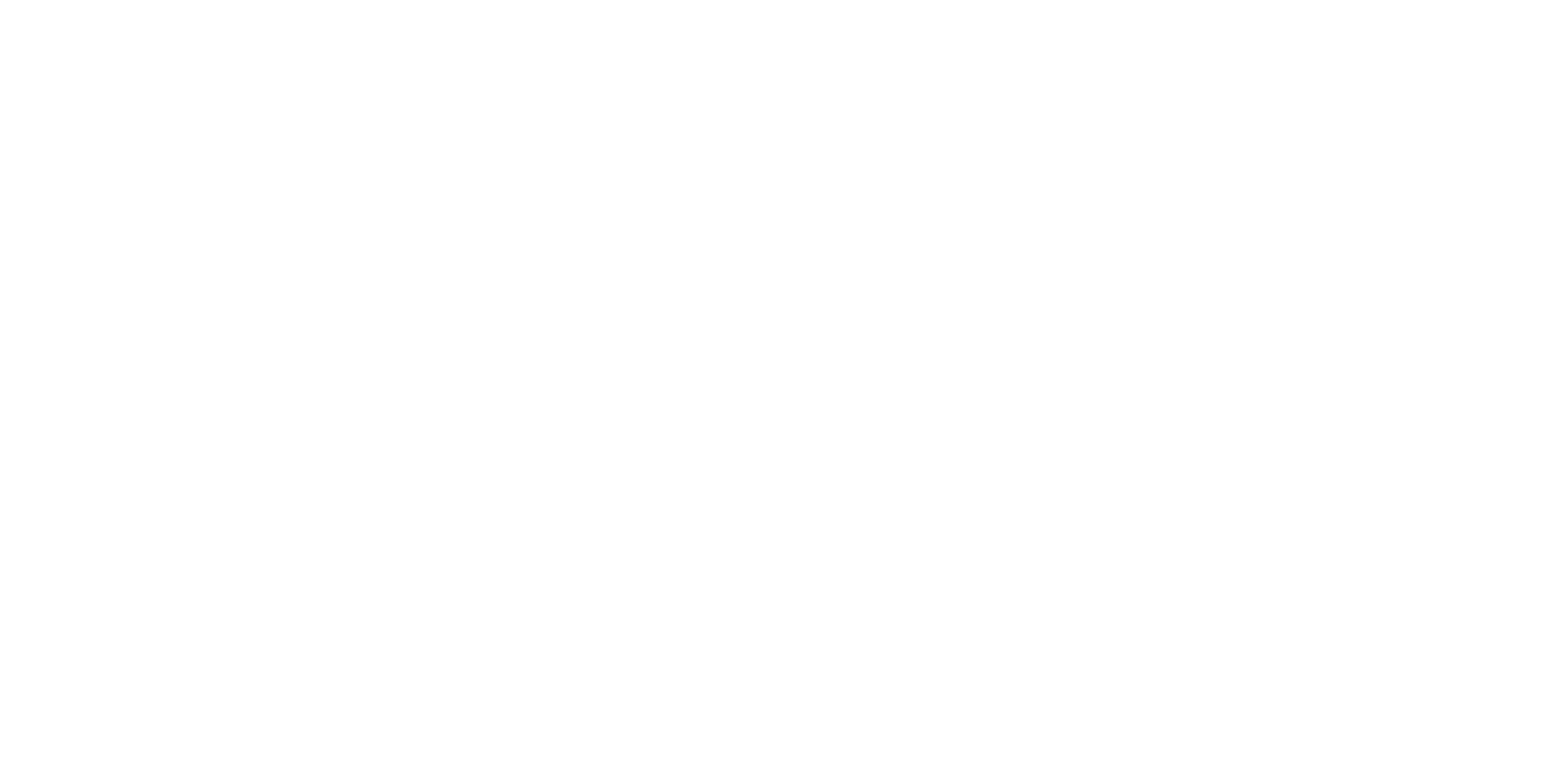 Logo Simon Basilicata Bike Travel Designer