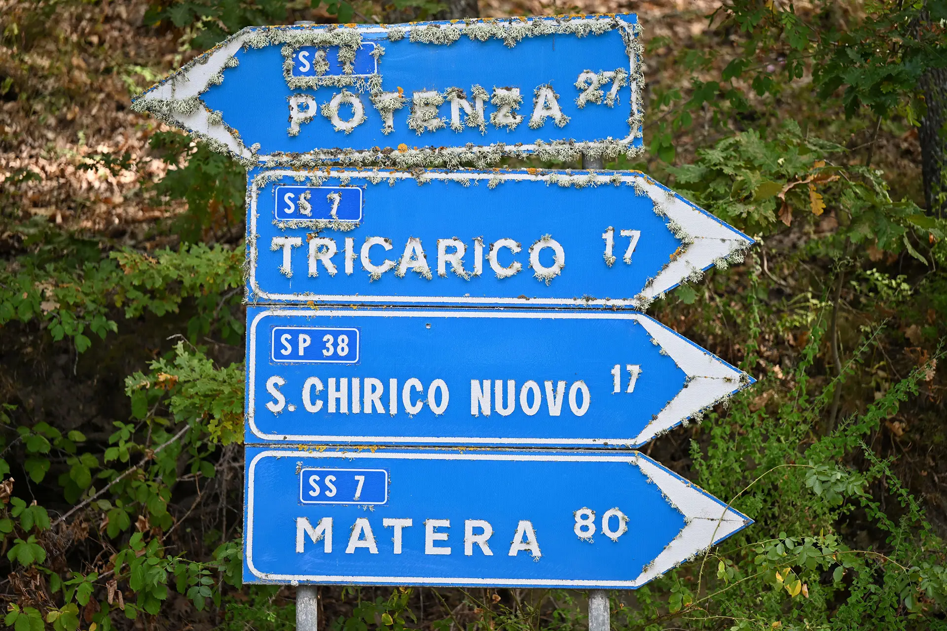Cartelli stradali SS7 Tricarico
